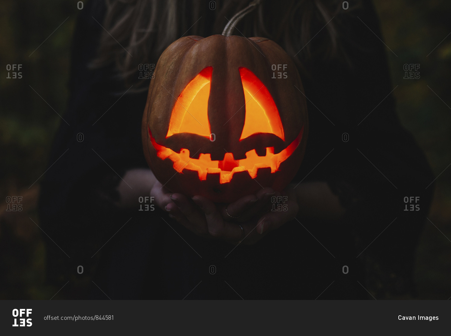 Close-up of woman hands holding illuminated jack o' lantern in forest during Halloween