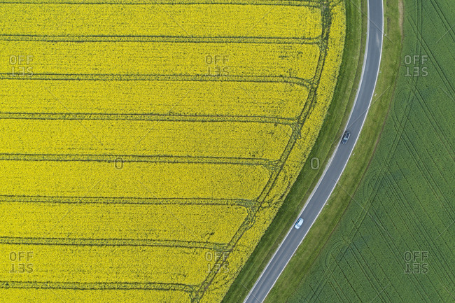 Abstract aerial view of rural road through agricultural fields with oilseed rape field and green wheat field- Franconia- Bavaria- Germany