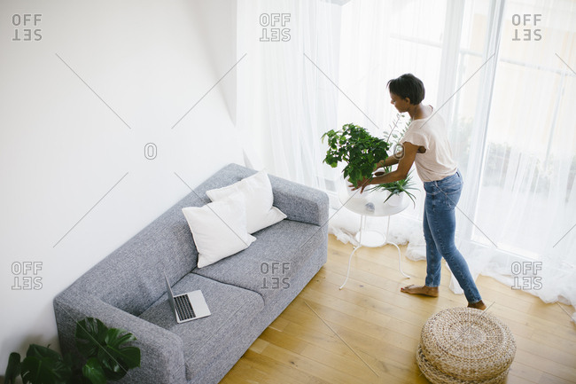 Woman arranging plant at home with laptop on couch