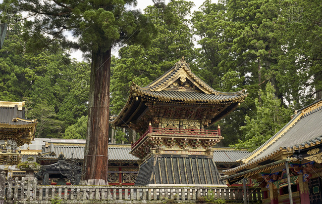 Nikko Toshogu Shrine temple in Nikko at spring, Japan