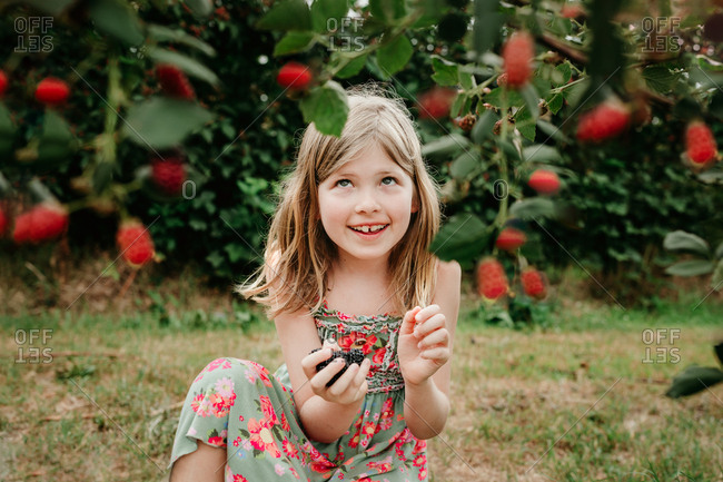 Happy little blonde girl picking blackberries