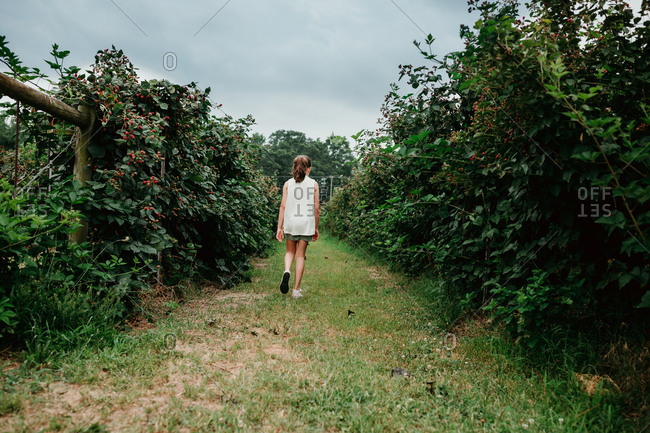 Girl walking through blackberry bushes