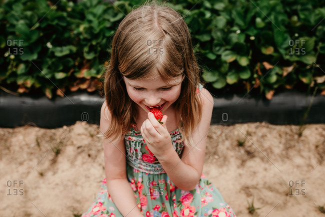 Girl eating a freshly picked strawberry