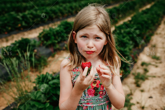 Girl eating a freshly picked strawberry in a garden