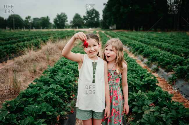Two girls looking at a big strawberry