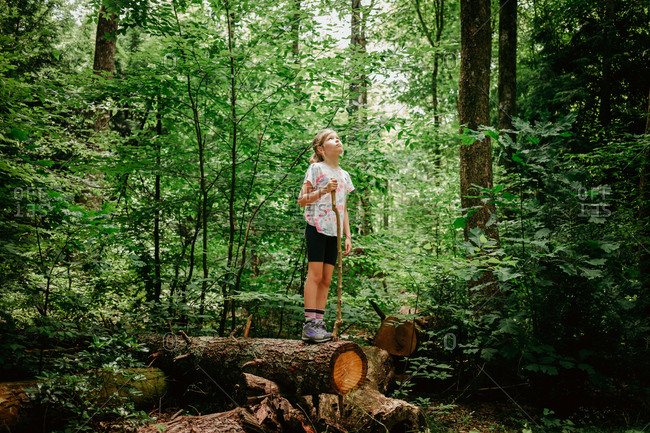 Girl standing on a cut down tree on a hike