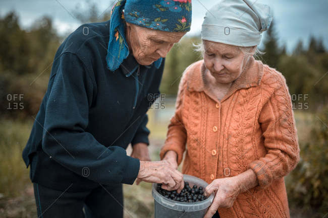 Two old women picked currant berries at garden and now examining them