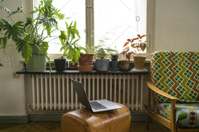 Laptop on buck at home