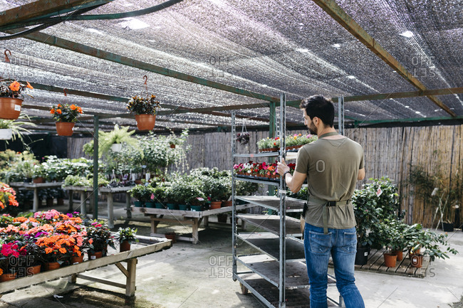 Worker in a garden center pushing a cart with plants