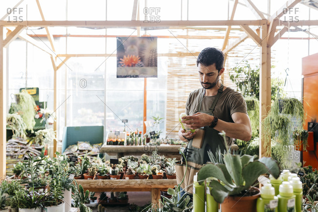 Worker in a garden center holding a maintenance product for cacti