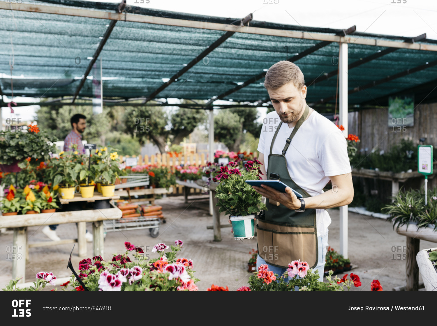 Worker in a garden center using a tablet