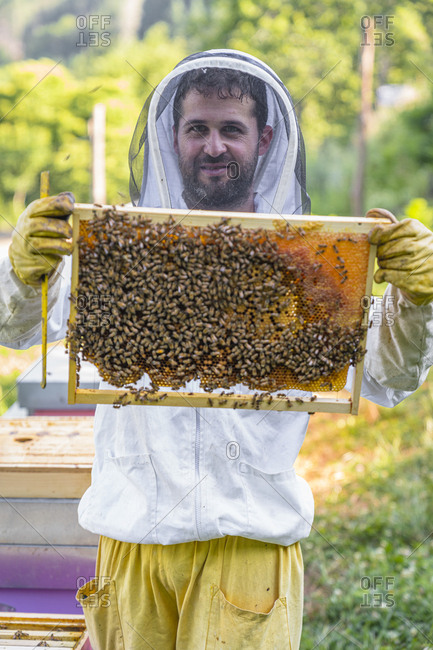 Beekeeper checking frame with honeybees