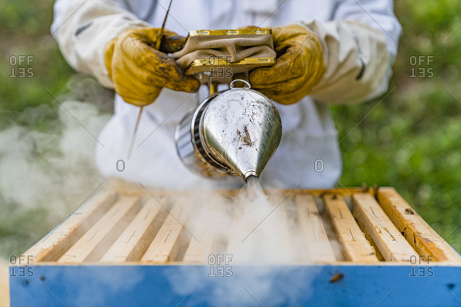 Beekeeper with honeycombs and smoker