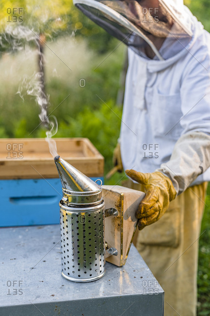 Beekeeper with honeycombs and smoker