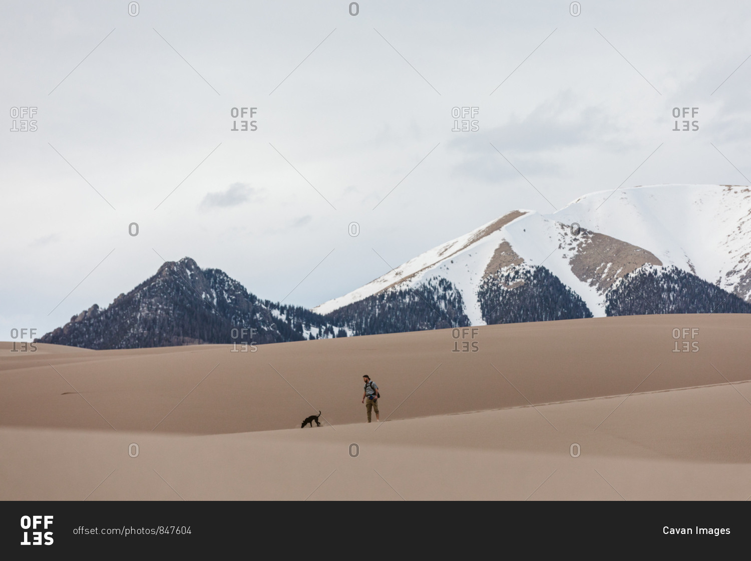 Hiker and small dog walk in the great sand dunes under snowy mountains