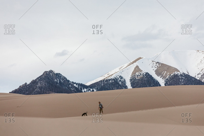 Hiker and small dog walk in the great sand dunes under snowy mountains