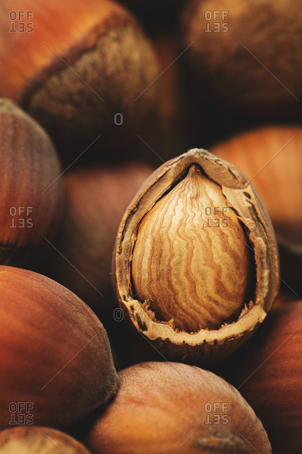 Detail of hazelnuts with a cracked open shell