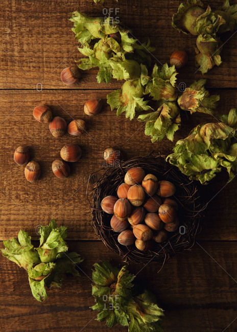 Hazelnuts in a nest on wooden surface