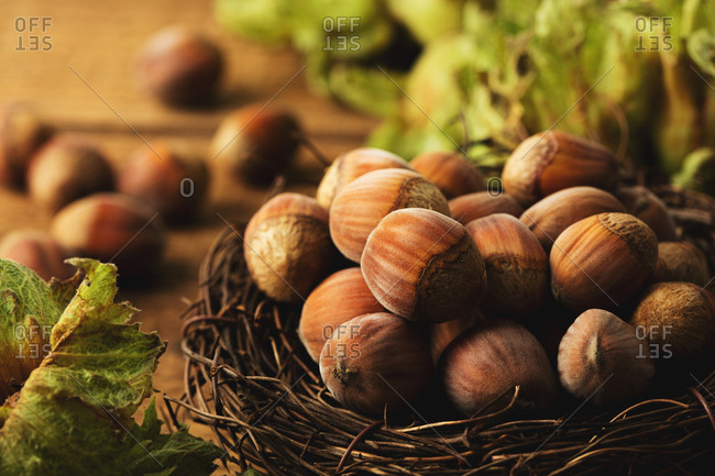 Close up of hazelnuts in a nest on wooden surface