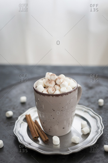 Cup of Hot Chocolate with marshmallows