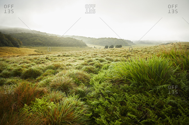 Landscape at Horton Plains National Park- Nuwara Eliya- Sri Lanka