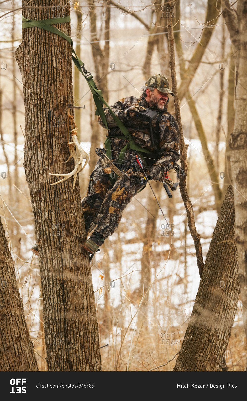 Hunter In Tree Saddle Tree Stand In Winter During A Deer Hunt
