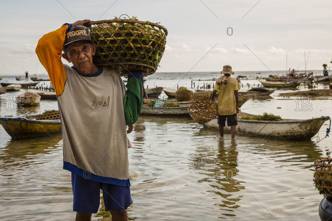Indonesia, Bali, Nusapenida - April 27, 2014: Old man carrying basket of seaweed