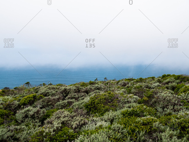 Green coastal hill with blue ocean and foggy sky