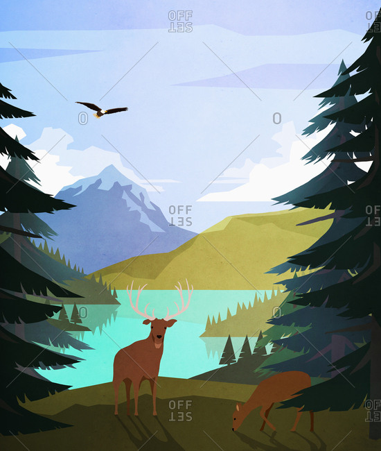 Bald eagle and deer at idyllic, remote lakeside