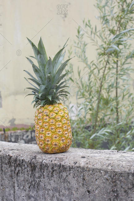 Pineapple on concrete ledge