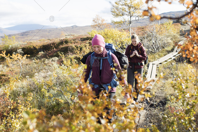 Women hiking