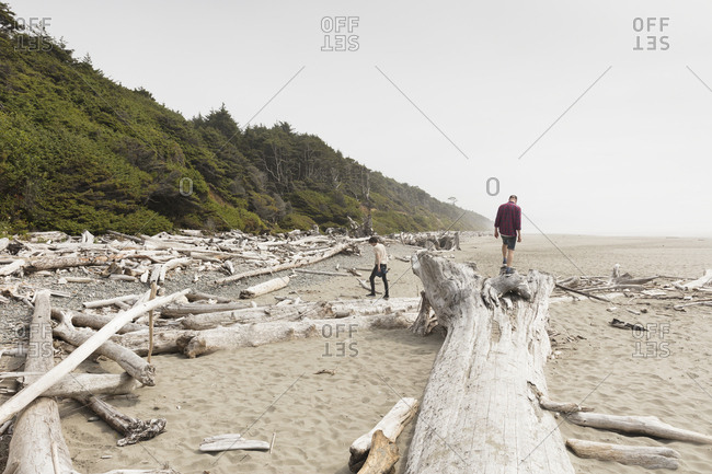 Men on driftwood on a beach