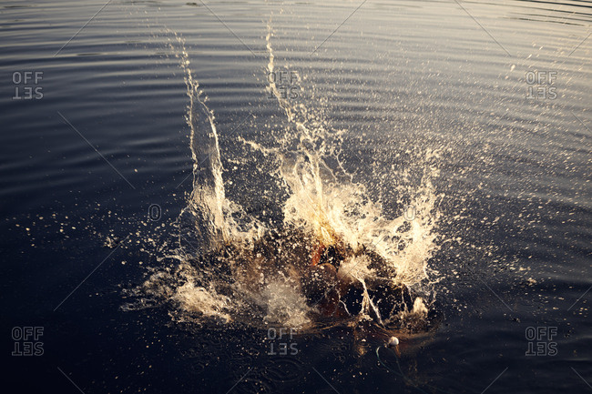 Splash of boy diving into lake