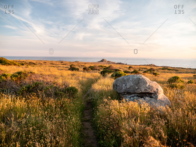 Coastal trail through meadow