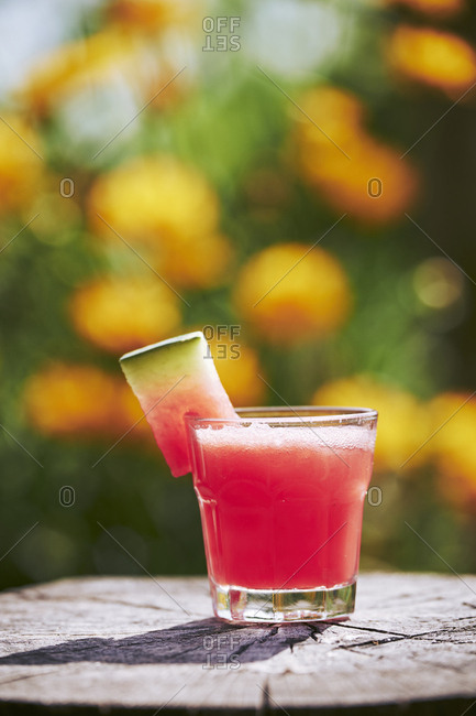 Close-up of fresh watermelon cocktail in glass on tree stump in garden