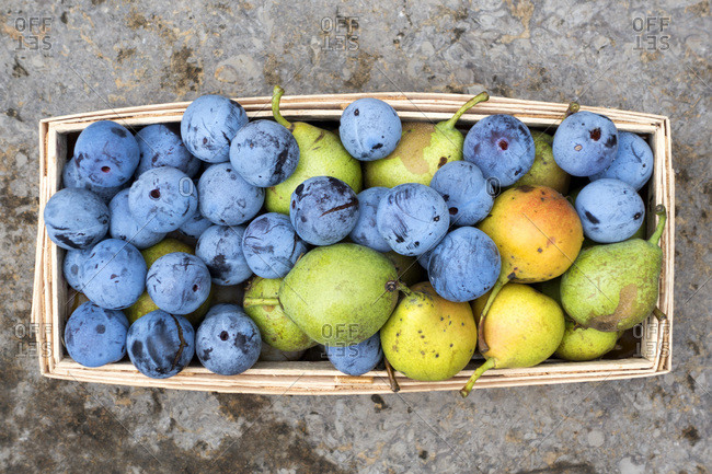 Harvest- plums and pears in basket