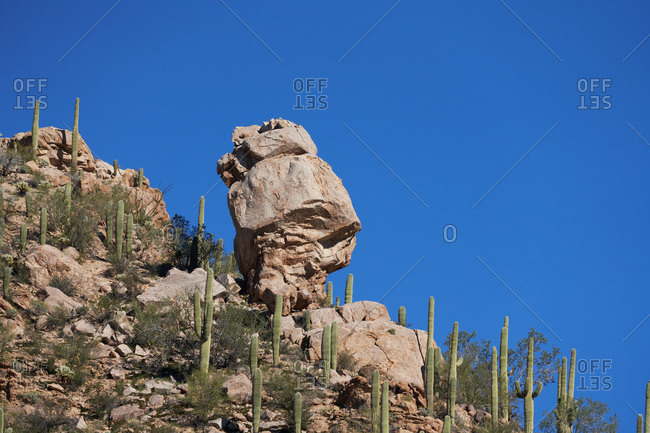 Rock formation surrounded by cacti, Saguaro National Park, Arizona