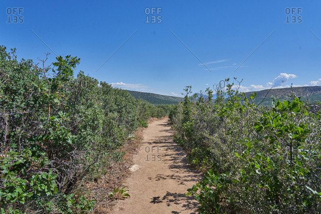 Hiking trail in Mesa Verde National Park in Colorado