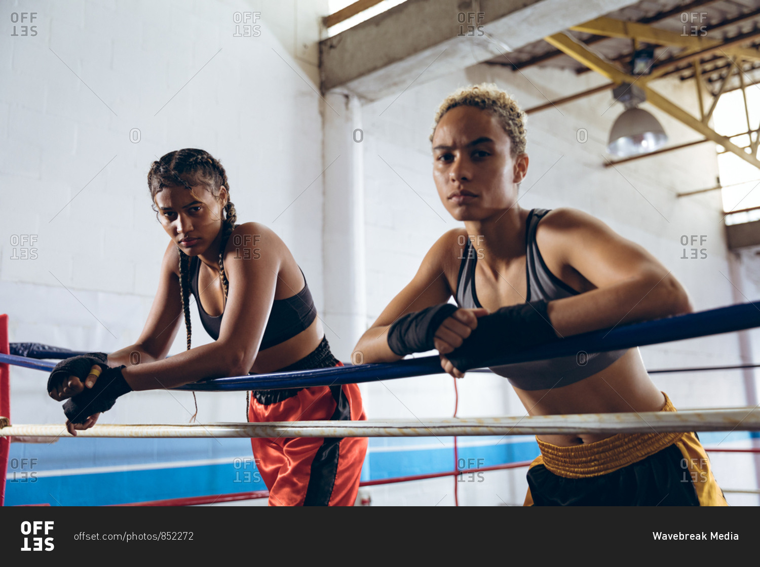 Female boxers leaning on ropes and looking at camera in boxing ring at boxing club