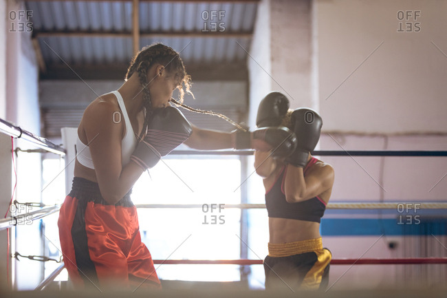 Female boxers fighting in boxing ring at fitness center
