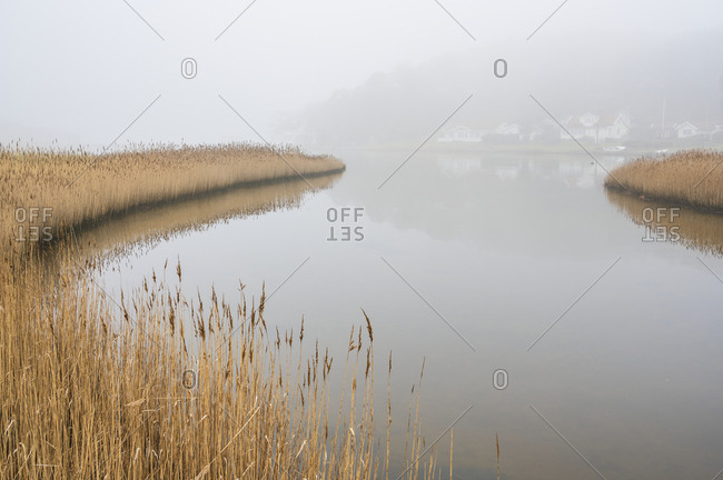 View of foggy lake