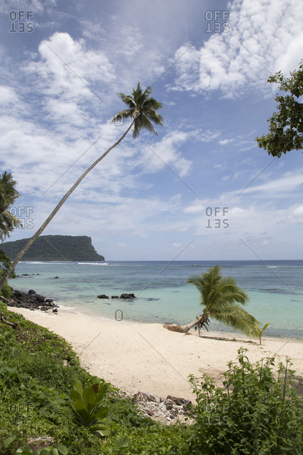 Exotic beach with palm trees in the South Pacific