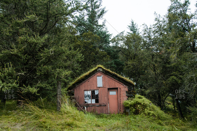 Old abandoned grass roof house nestled in the forest in rural Iceland