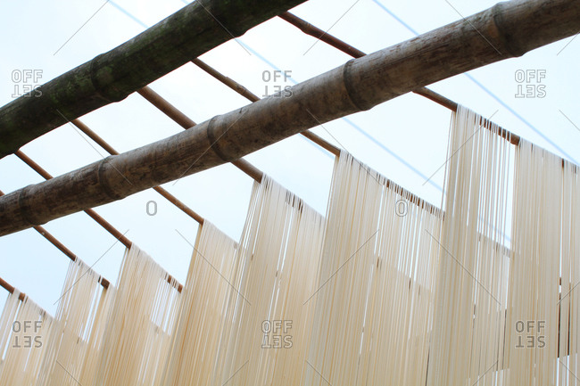 Noodles hanging to dry
