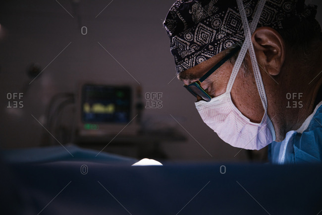 Middle-aged veterinary surgeon in full operation in a veterinary clinic operating room, lateral view