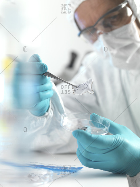Forensic scientist examining fragments of paper in a laboratory