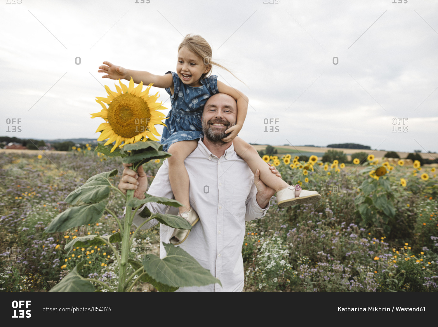 Happy man carrying daughter in a sunflower field