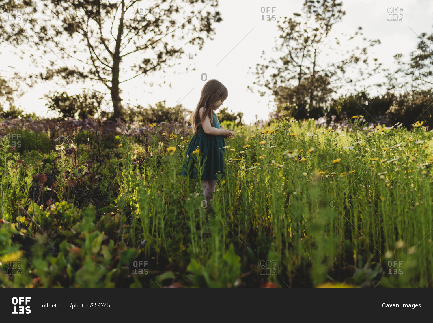 Landscape of little girl looking down in field of spring flowers