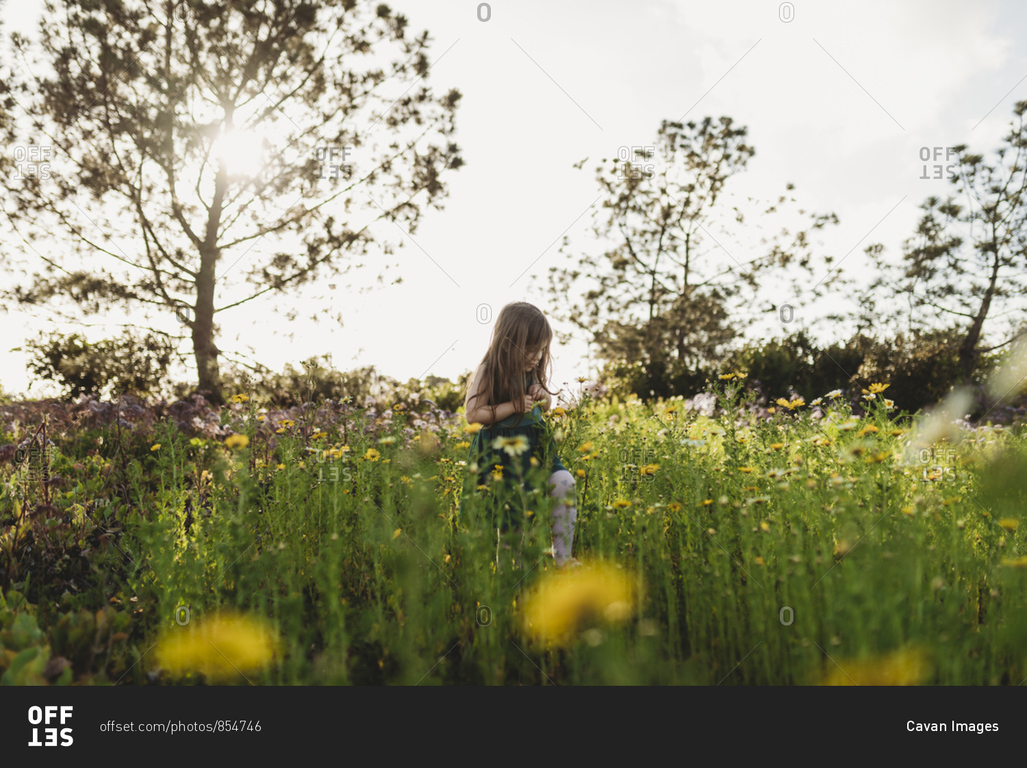 Landscape of little girl looking down in field of spring flowers