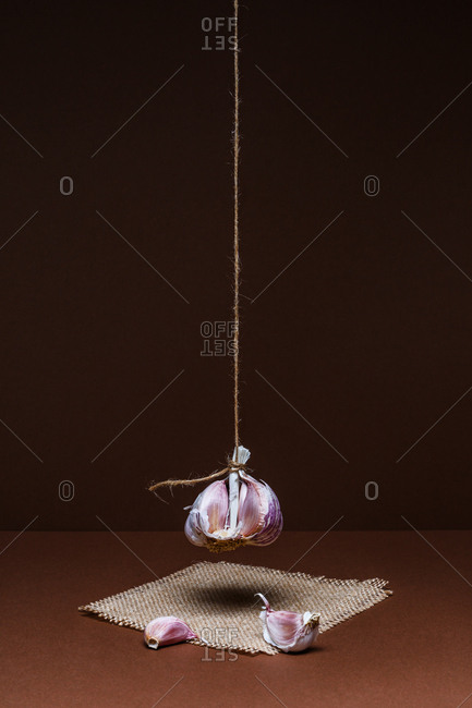 Garlics hanging on rope on brown background